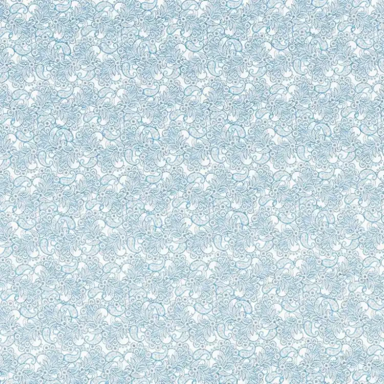 White and Light Blue Paisley Print