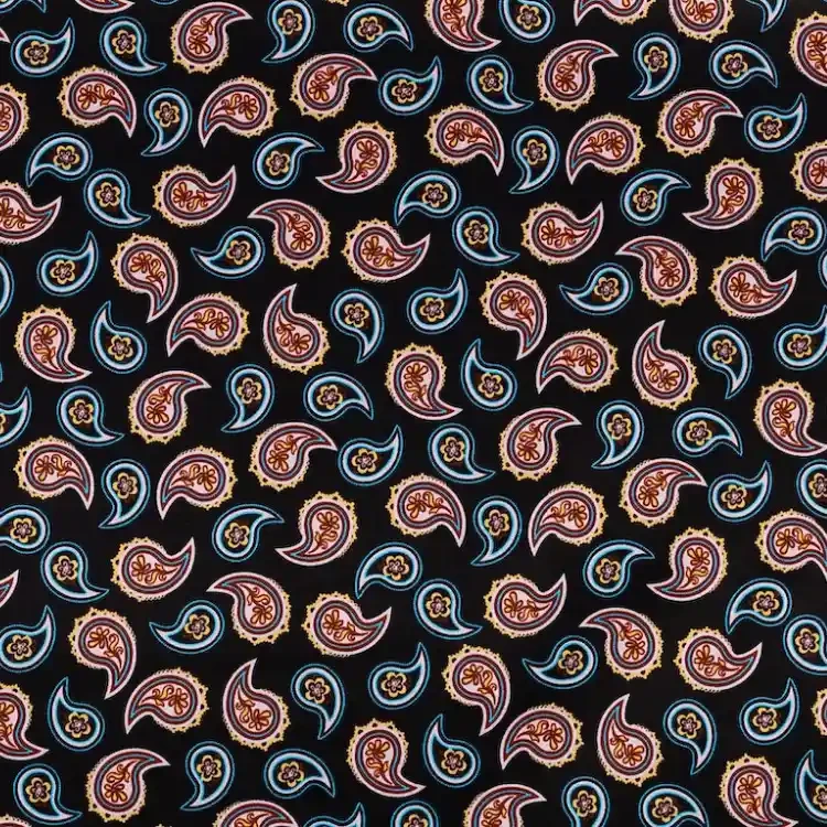 Black with Blue and Red Paisley Print