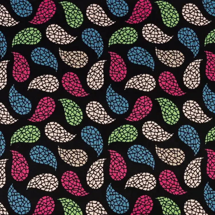 Black with Mulitcolored Paisley Pattern Print