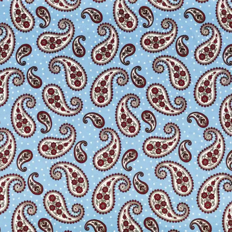Light Blue with Floral Paisley Print