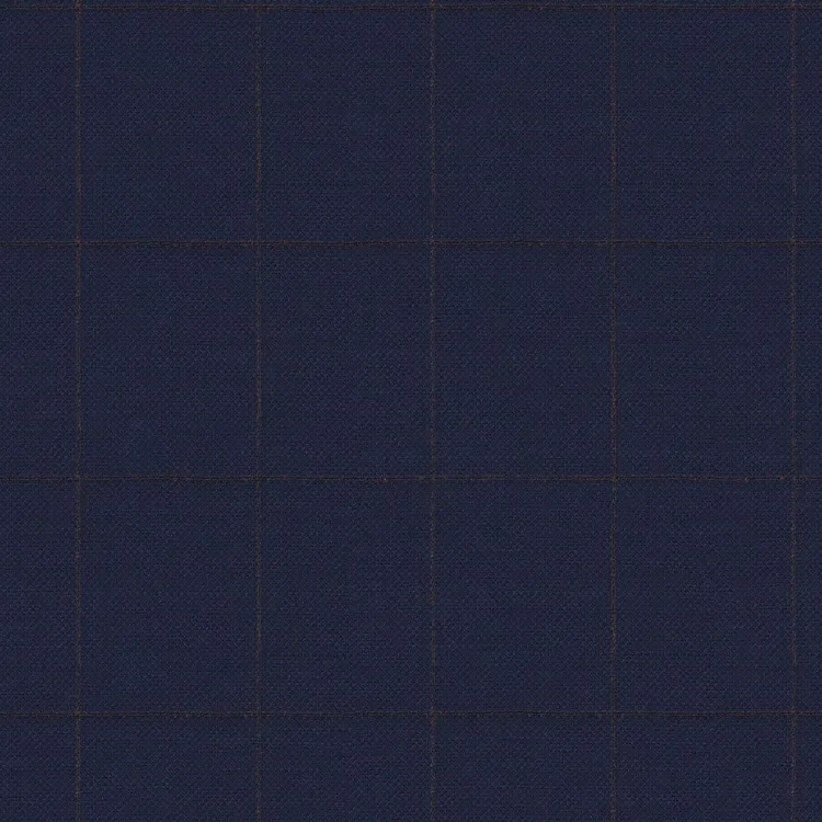 Blue with Brown Check