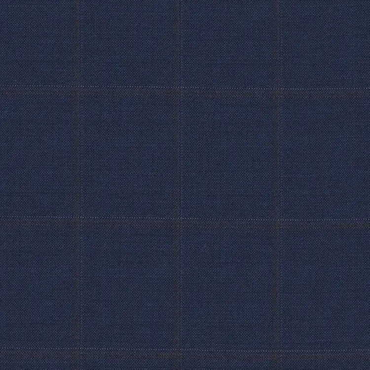 Blue with Brown Check