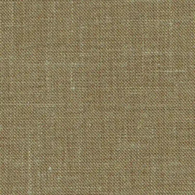 Olive Green Solid