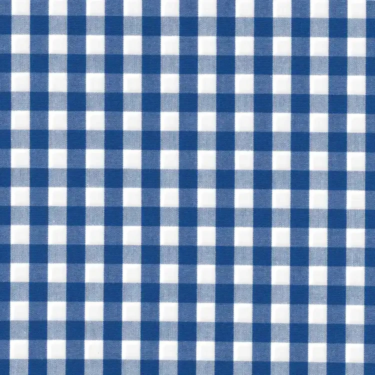 Blue and White Plaid Plaid Shirt Fabric