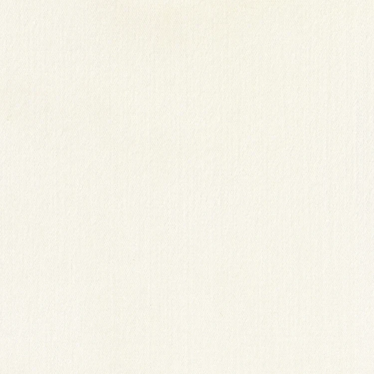 Off White Plain Shirt Fabric