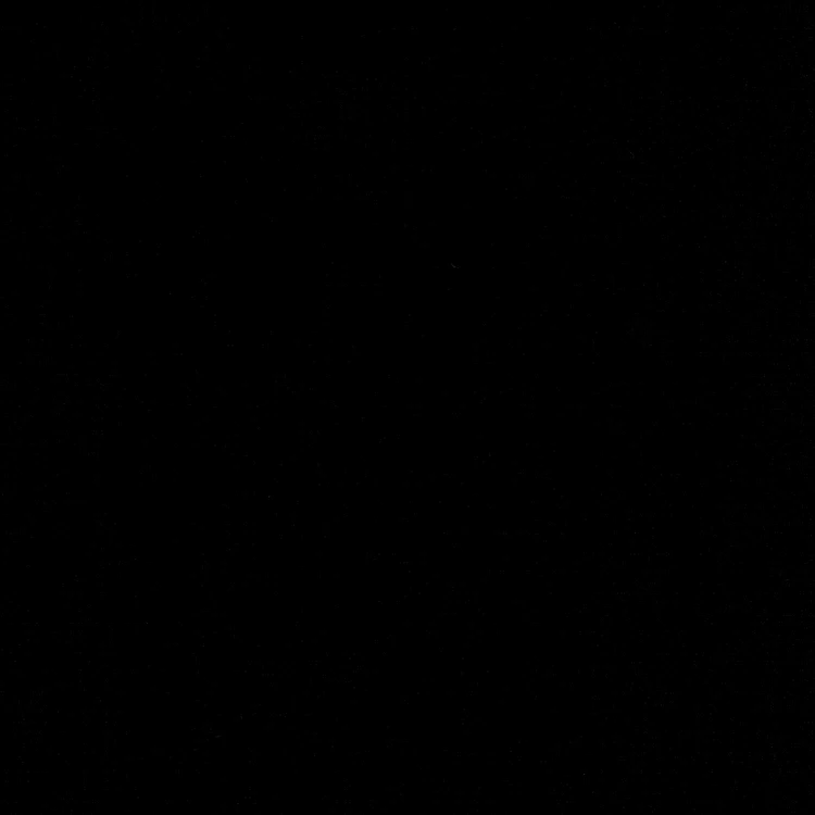 Black Shirt Fabric