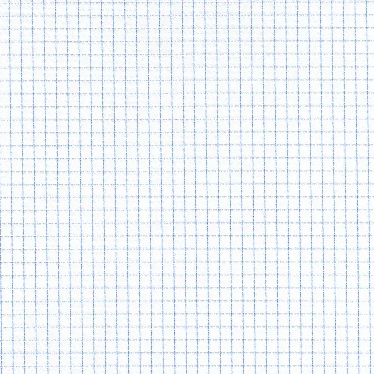 White Stripes with Blue Micro Check Shirt Fabric