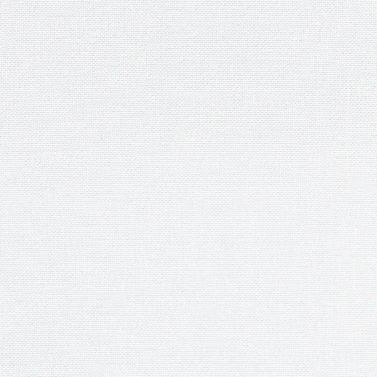 White Oxford Self Texture Shirt Fabric