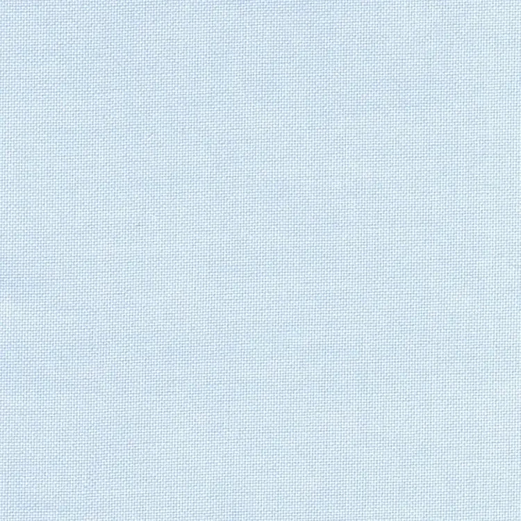 Light Blue Oxford Self Texture Shirt Fabric