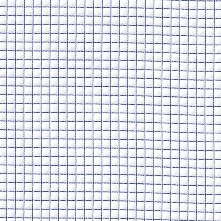 White with Blue Check Shirt Fabric