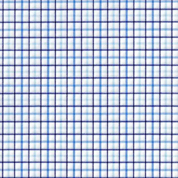 Blue Checks in White Plaid Shirt Fabric