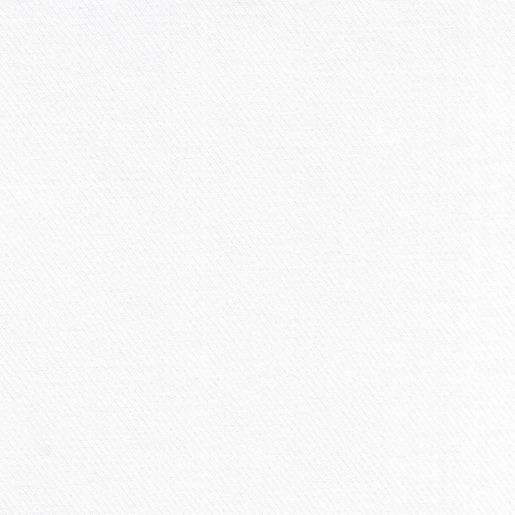 White Slant Self Stripe Shirt Fabric