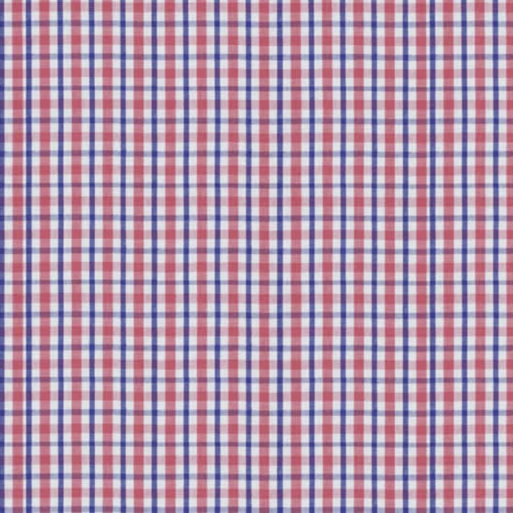 Blue with Red Checks Shirt Fabric