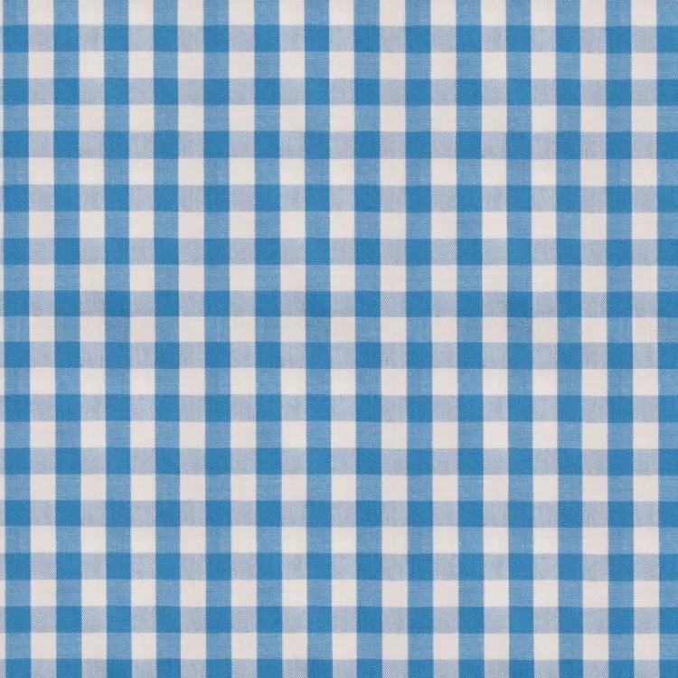Blue and White Checks Shirt Fabric