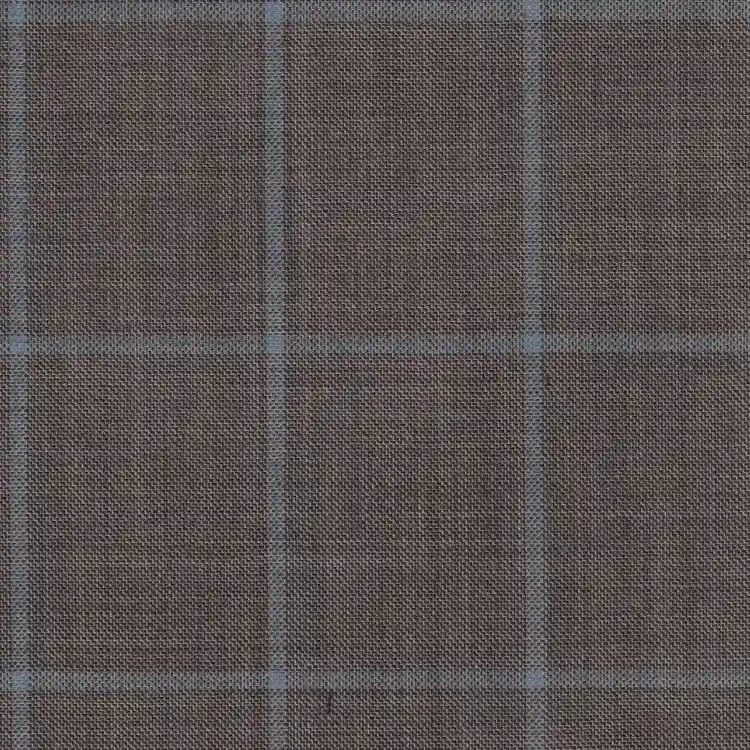 Light Gray with Sky Blue Windowpane