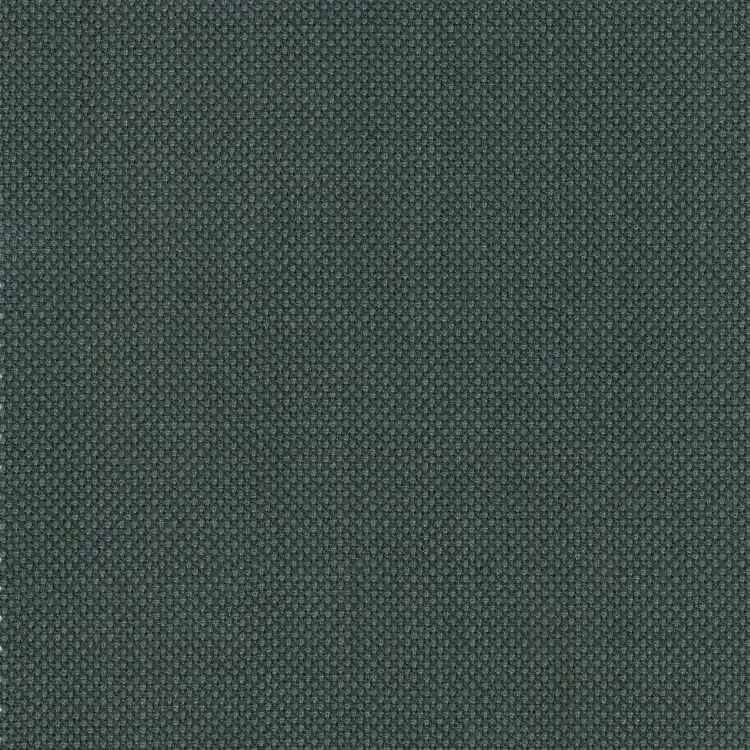 Teal Birdseye