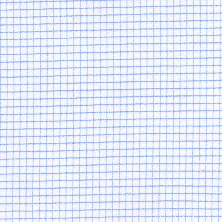 White with Light Blue Check Shirt Fabric