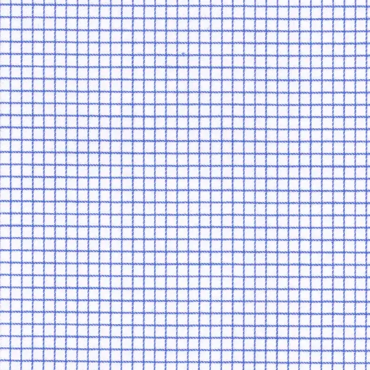 White with Blue Check Shirt Fabric