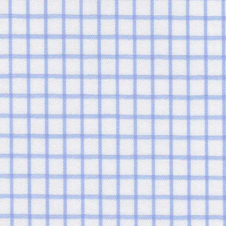 White with Blue Check Shirt Fabric