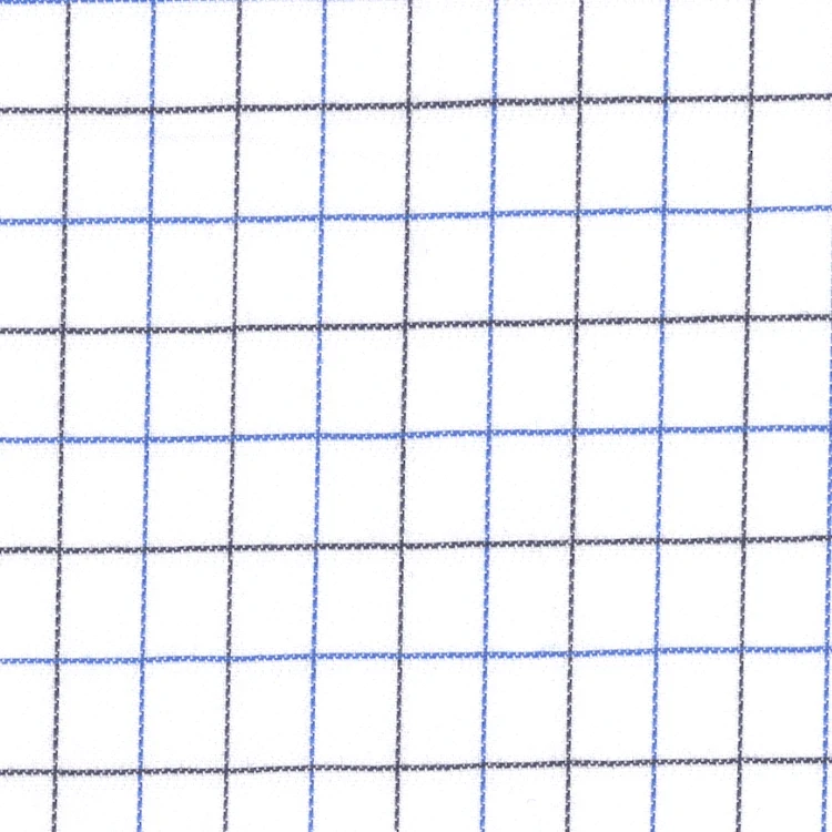 White with Black and Blue Check Shirt Fabric