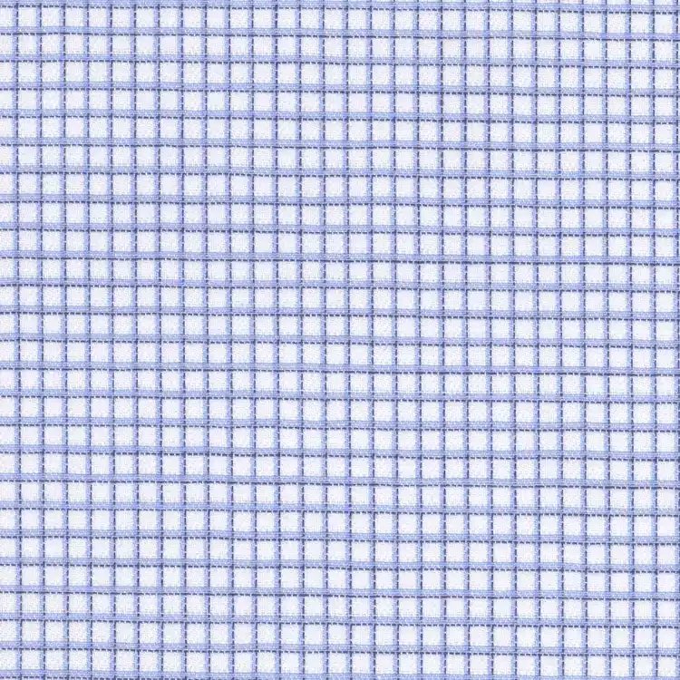 White with Small Blue Check Shirt Fabric