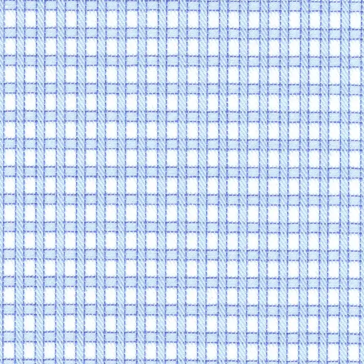 White with Blue Check Shirt Fabric