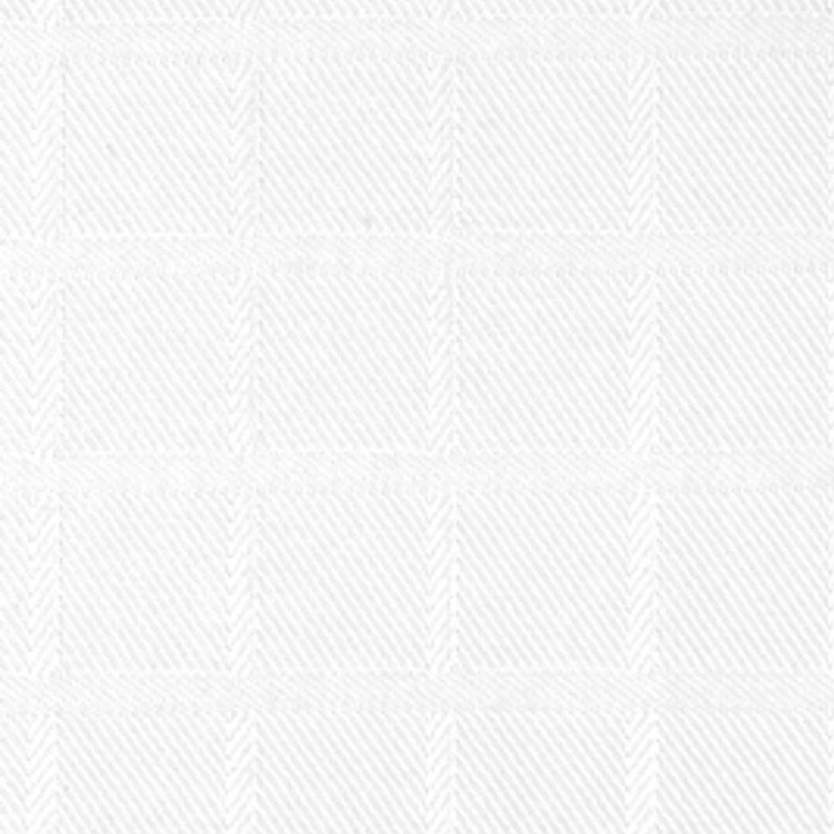 White Check Shirt Fabric
