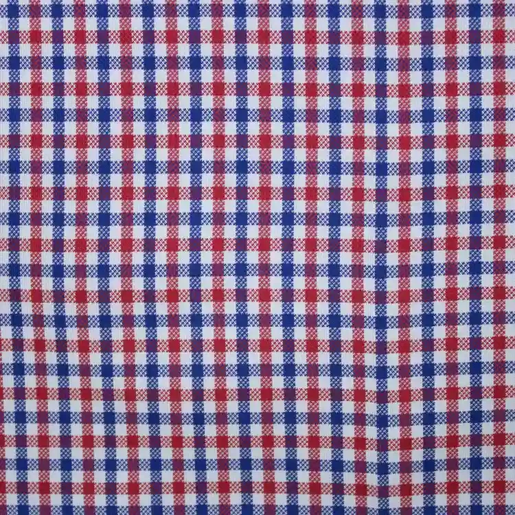 Blue And Red Check Shirt Fabric