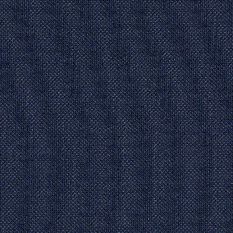 Royal Blue Birdseye