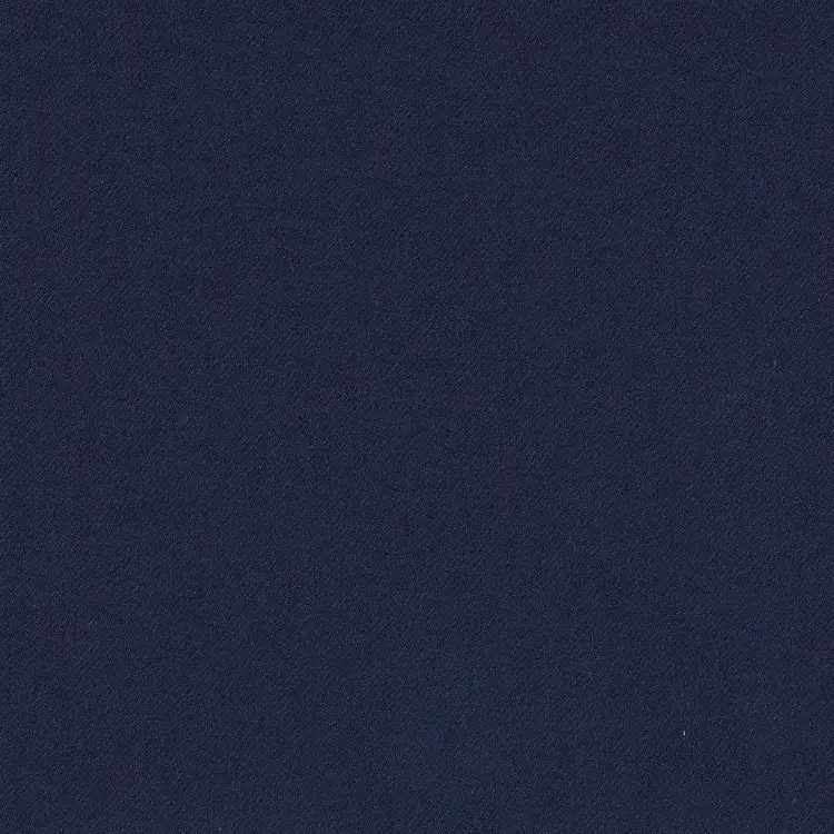 Blue with Solid Flannel