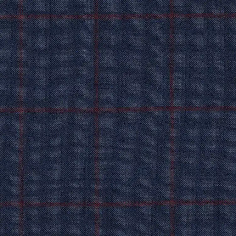 Blue with Red Check