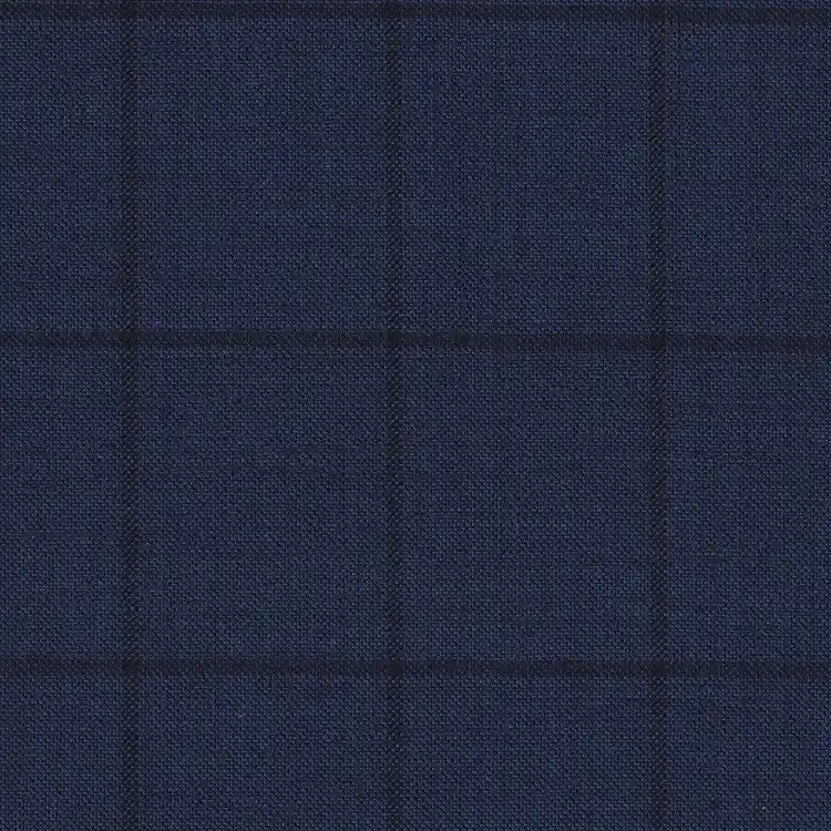 Blue with Black Check